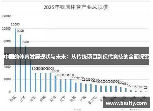 中国的体育发展现状与未来：从传统项目到现代竞技的全面探索